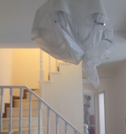 南岸茶園新城專業除甲醛與保潔清洗服務